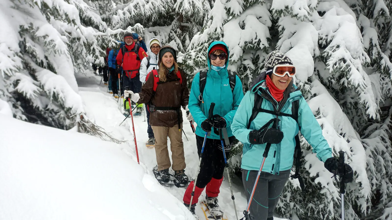 Eine Gruppe beim Schneeschuhwandern durch Bäume, die von Schnee bedeckt sind.