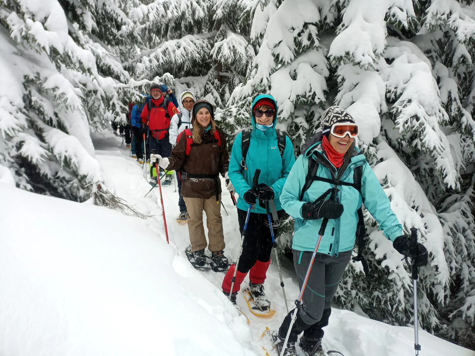 Eine Gruppe beim Schneeschuhwandern durch Bäume, die von Schnee bedeckt sind.