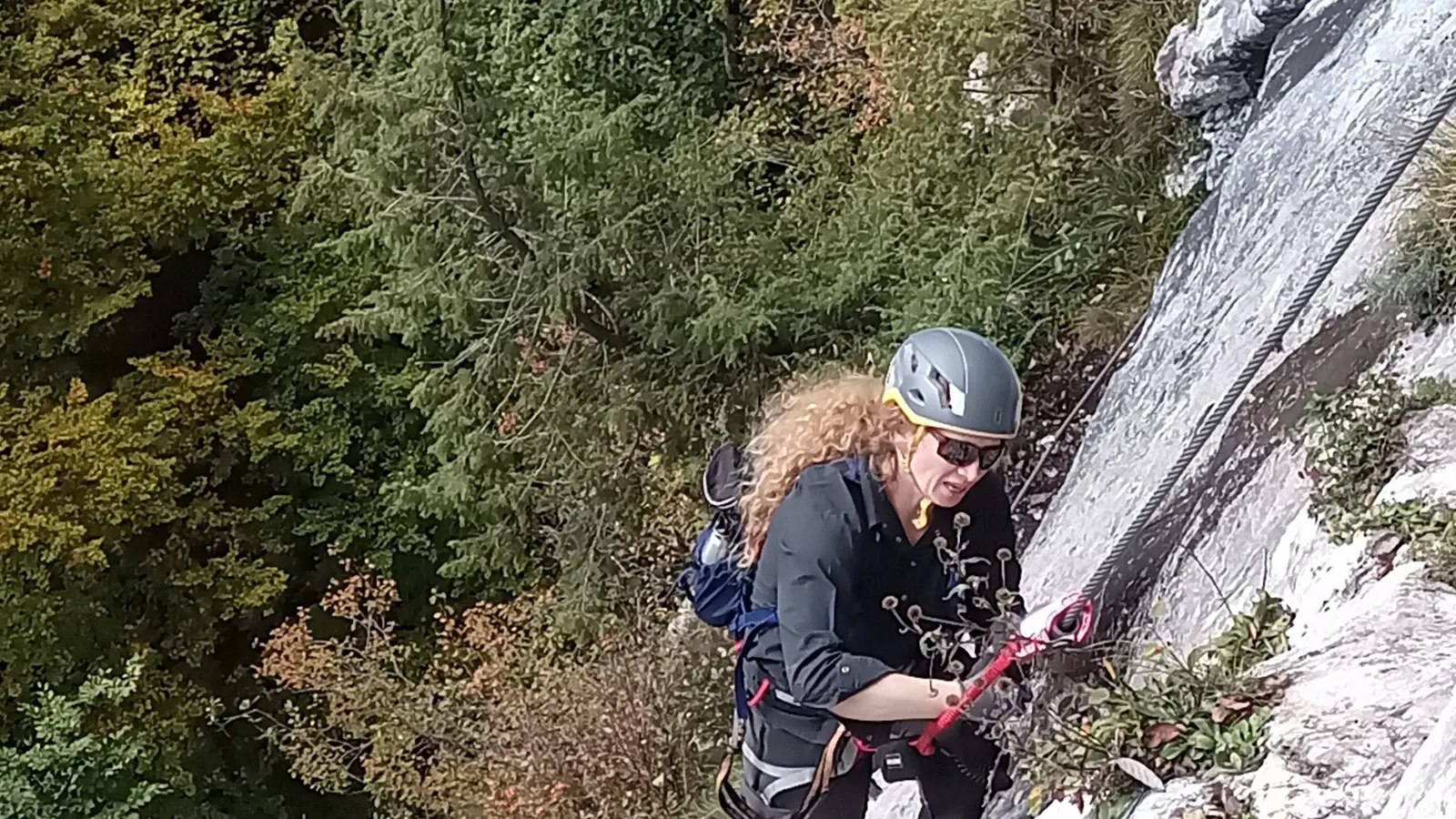 Eine Persone, die einen Klettersteig geht, der Wald unter ihr im Hintergrund.