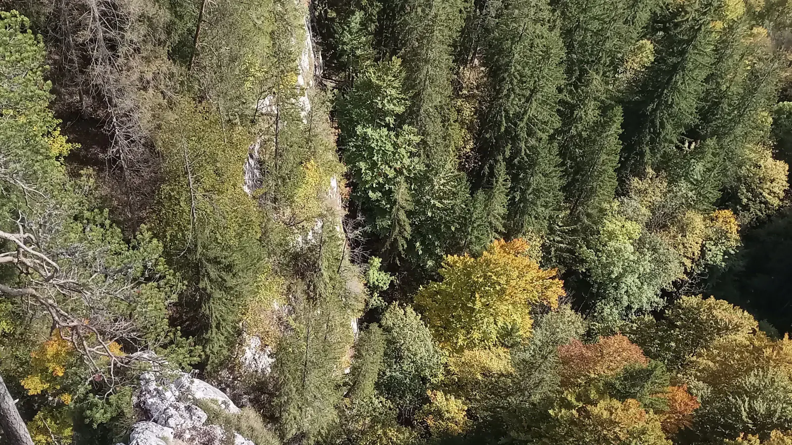 Eine Person, die einen Klettersteig begeht.