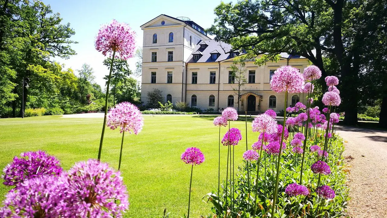 Chateau Mcely