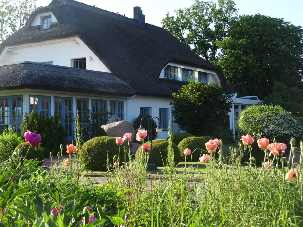 Blick auf ein reetgedecktes Haus