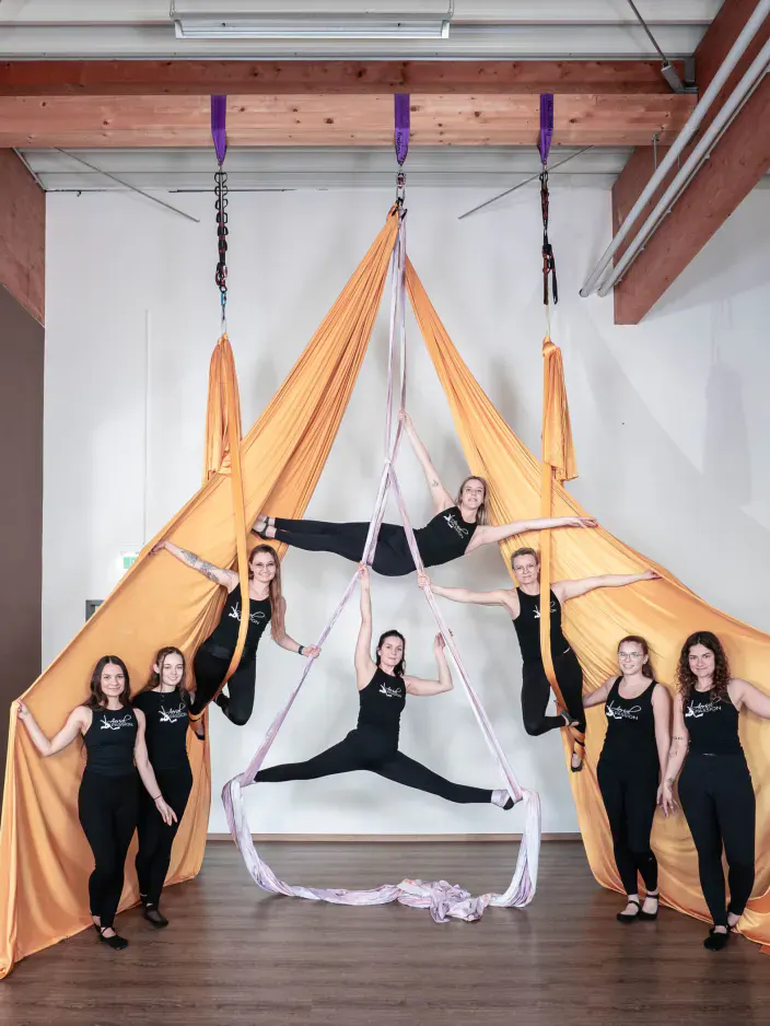 Aerial Team