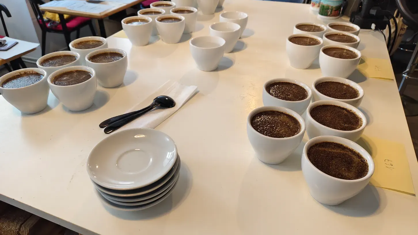 Bild eines Cupping-Set