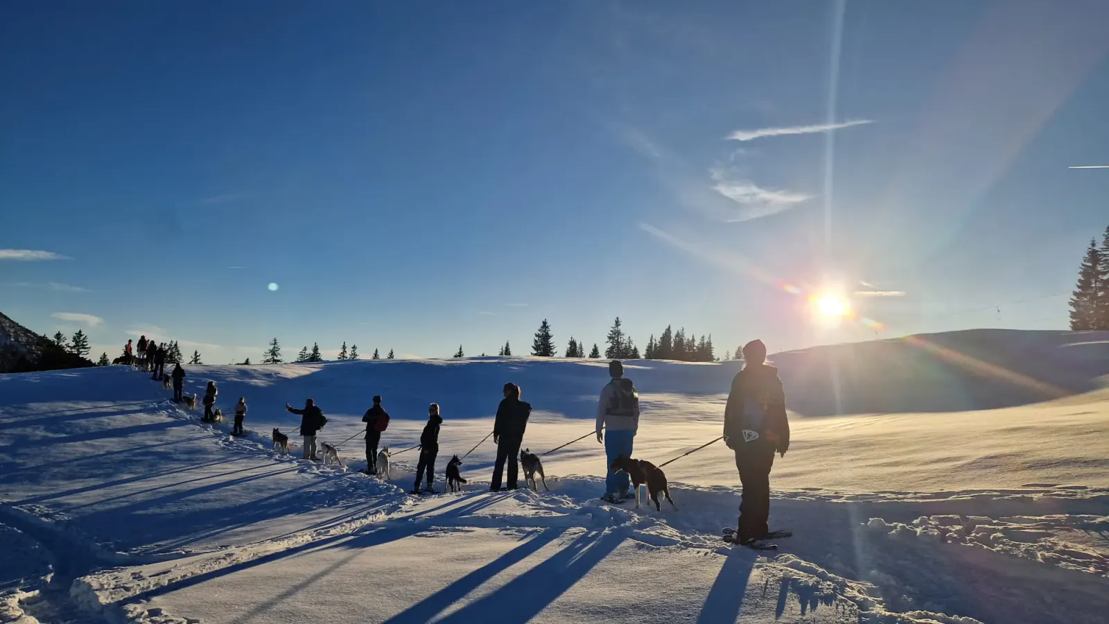 Husky Schneeschuhtrekking