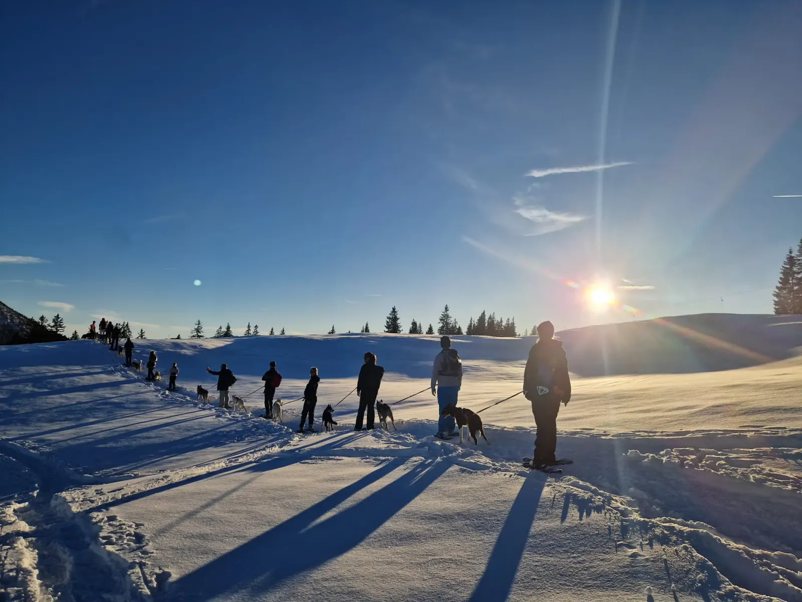 Husky Schneeschuhtrekking