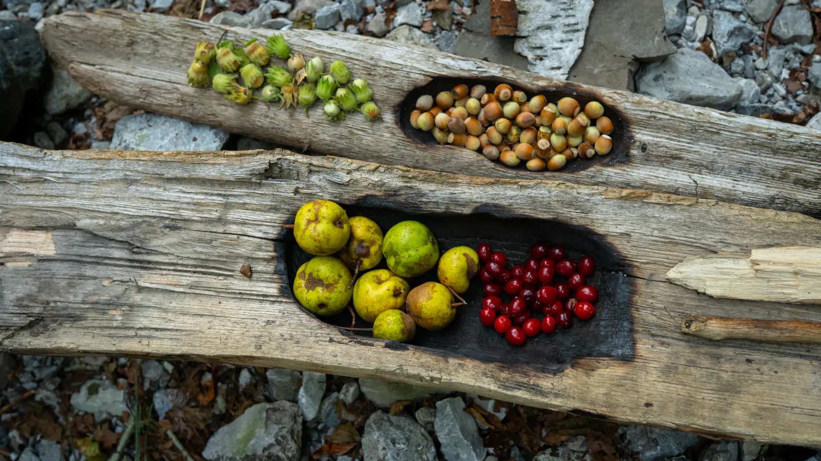 Primitive Meal