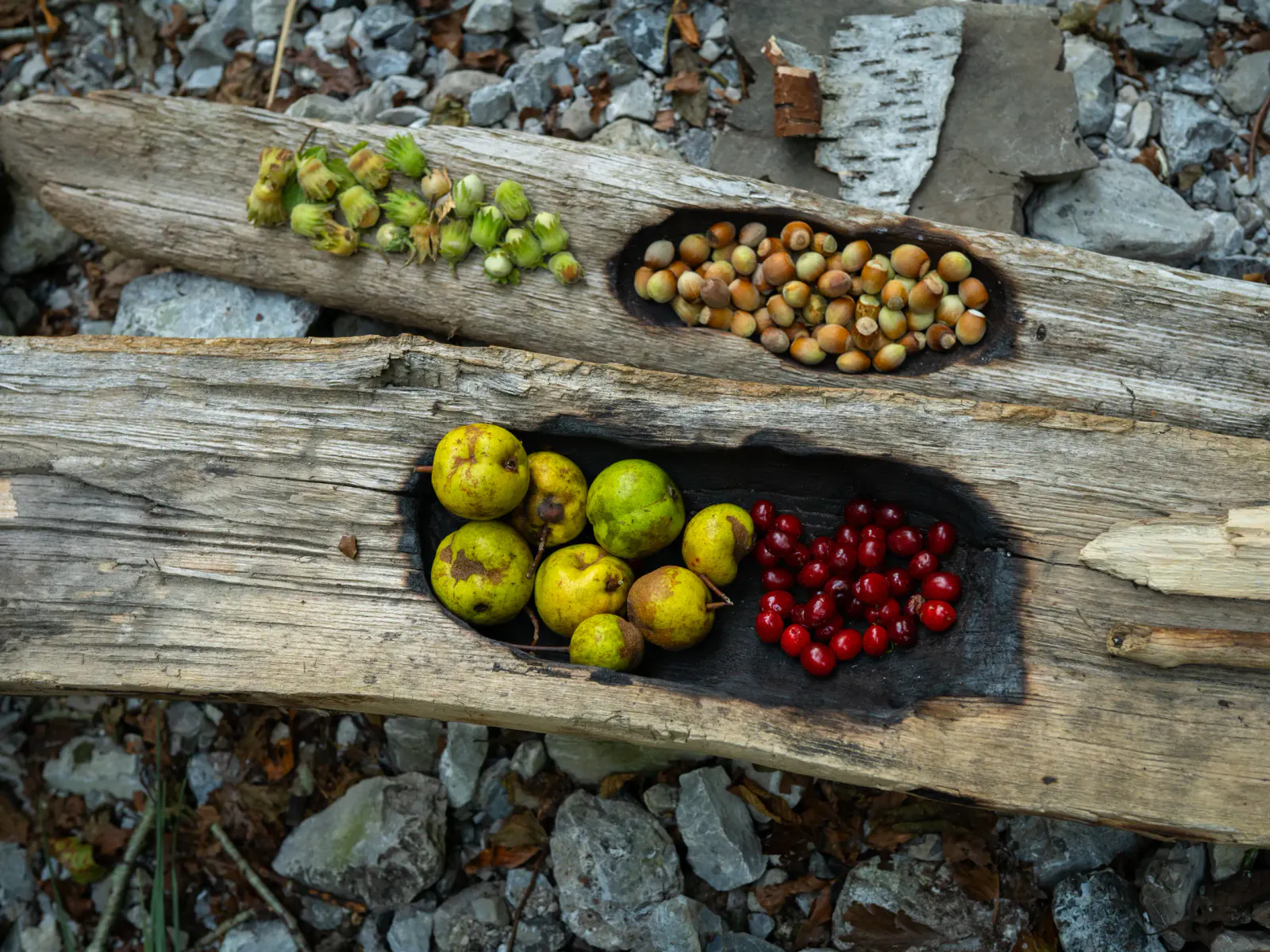 Primitive Meal