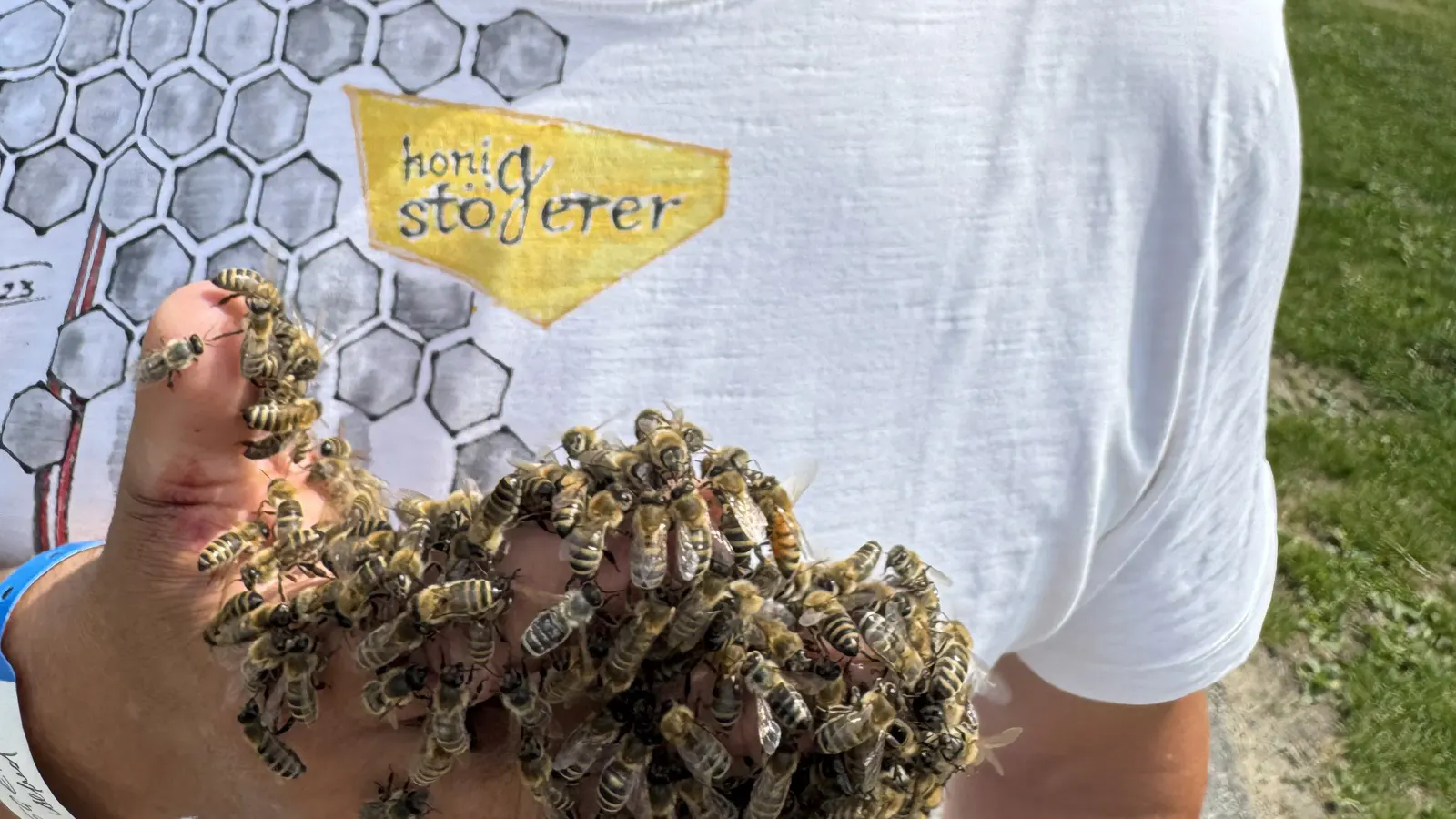 Bienen an der Hand
