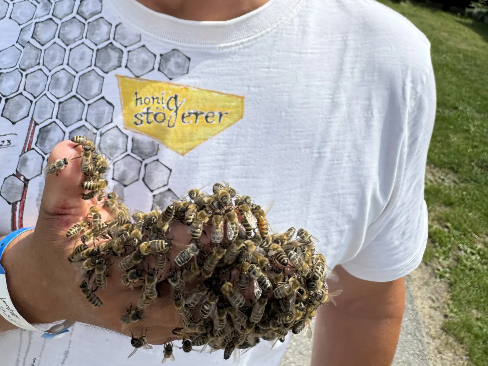 Bienen an der Hand