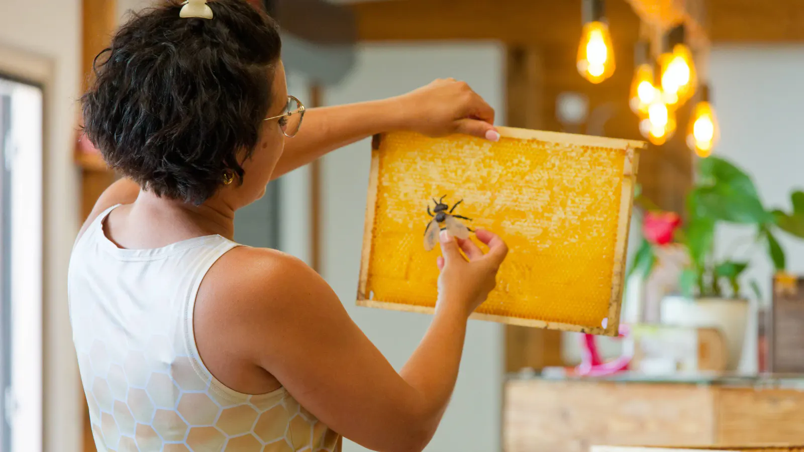 erklärung des Bienenlebens