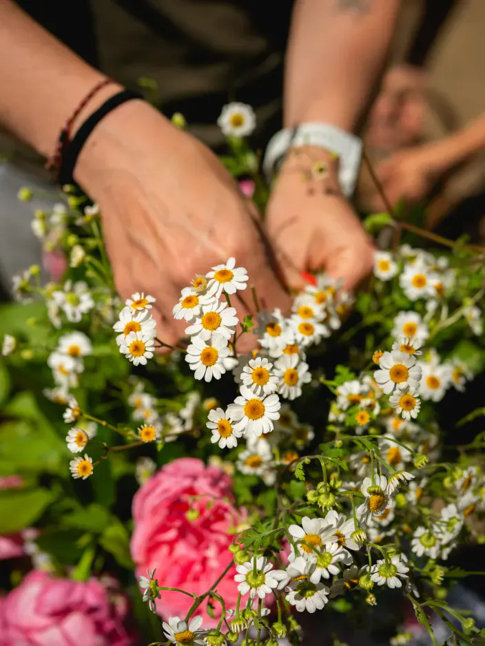 Blüten