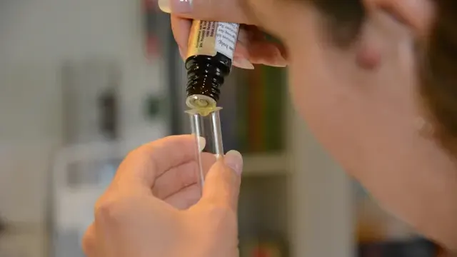 Parfum selber machen