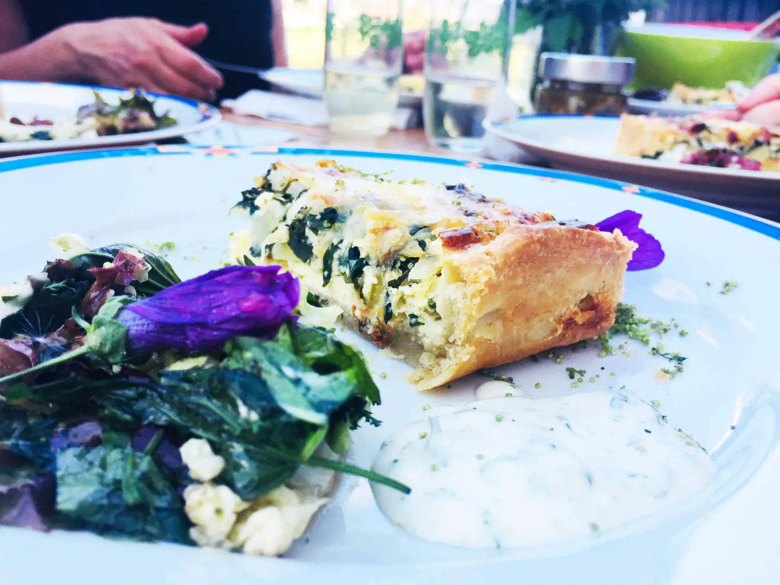 Kochen mit den ersten Wildkräutern