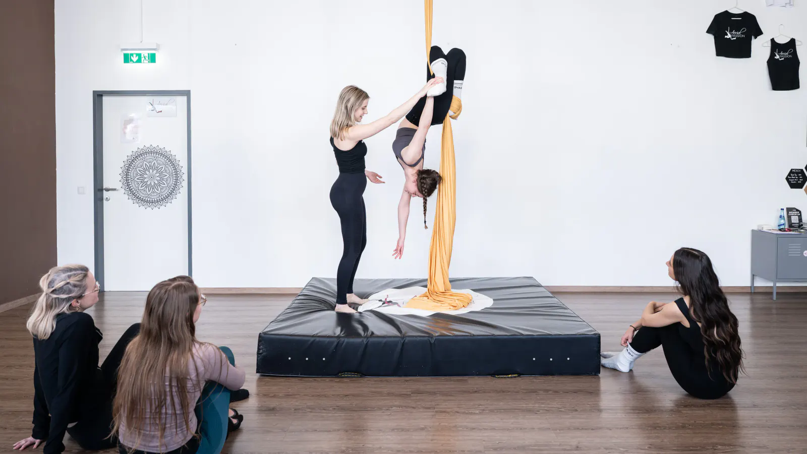 Aerial Silks