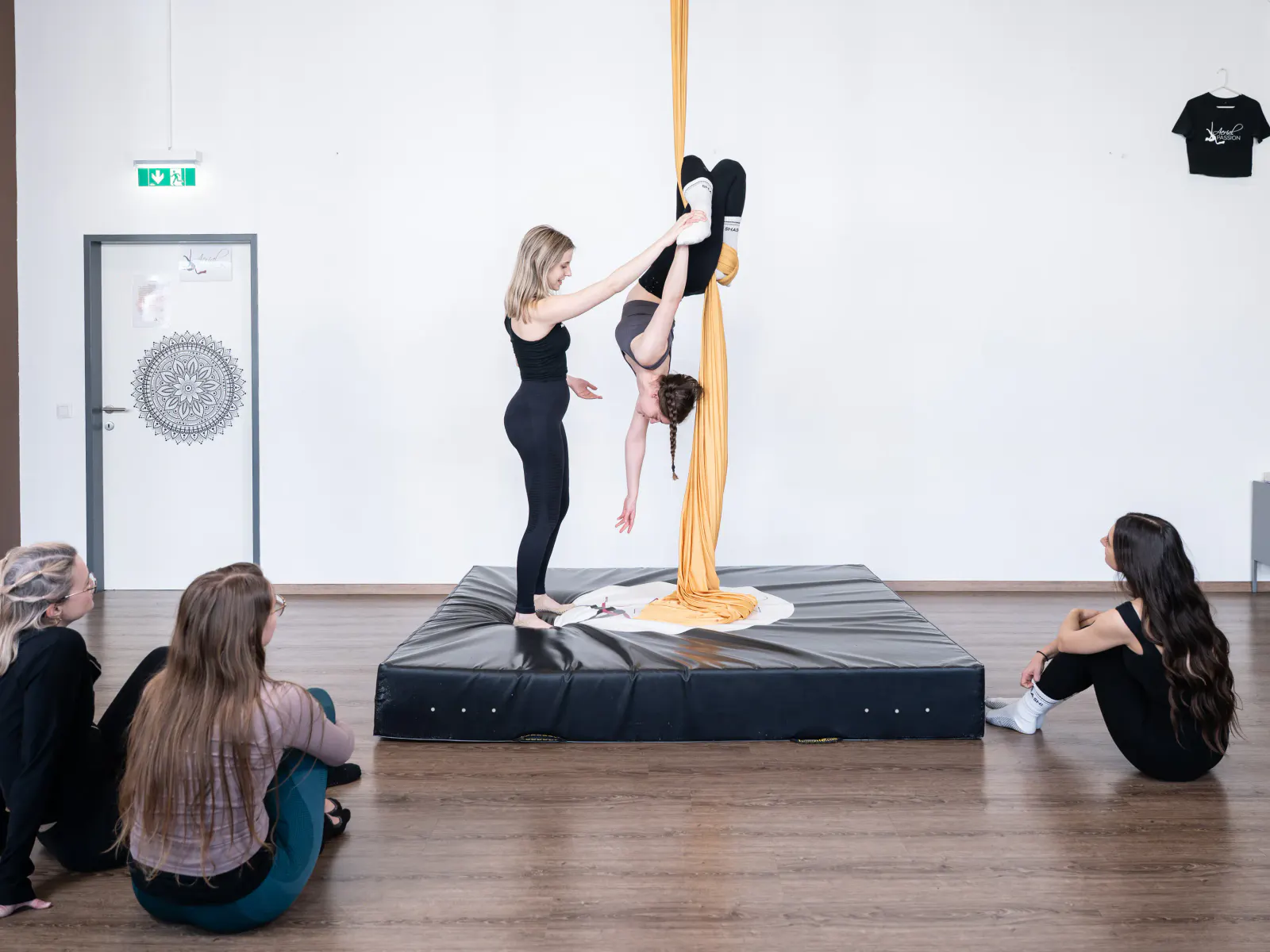 Aerial Silks