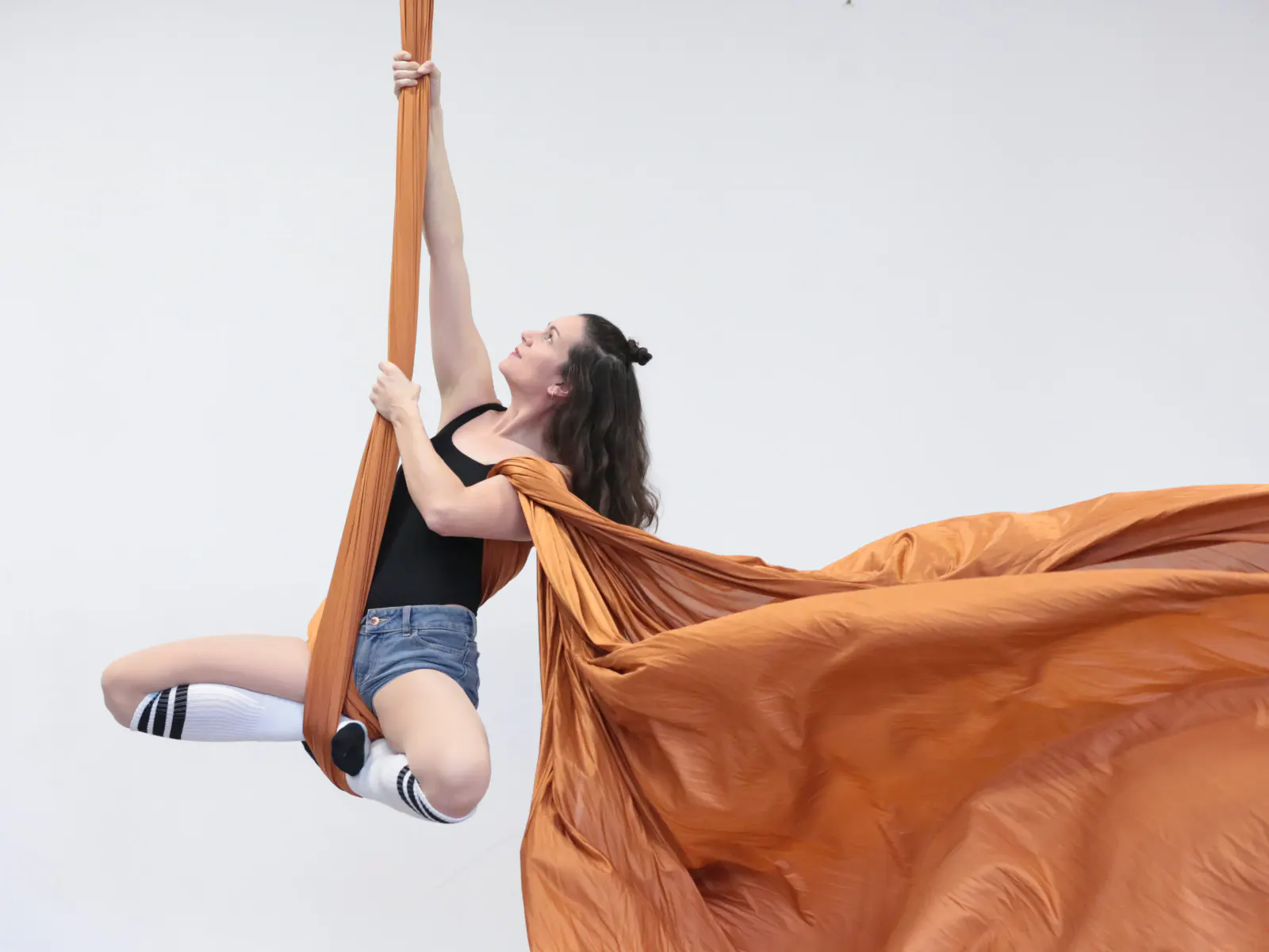 Aerial Silks
