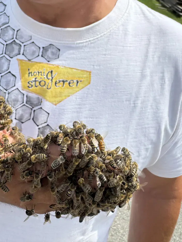 Bienen an der Hand