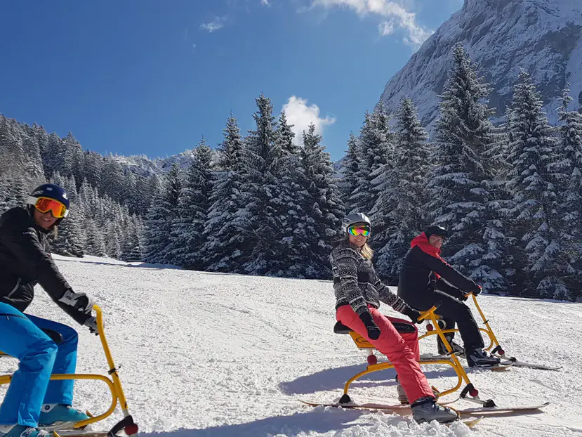 Snowbike