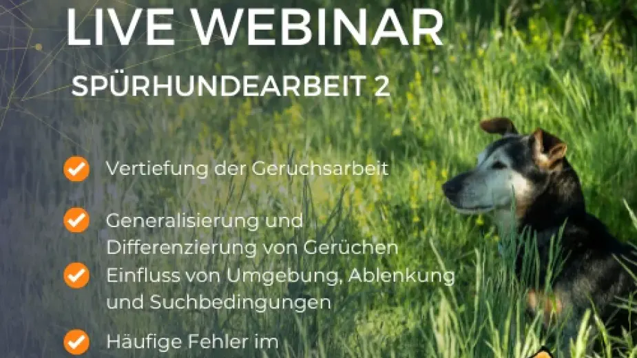 Spürhunde Webinar 2 Inhalte