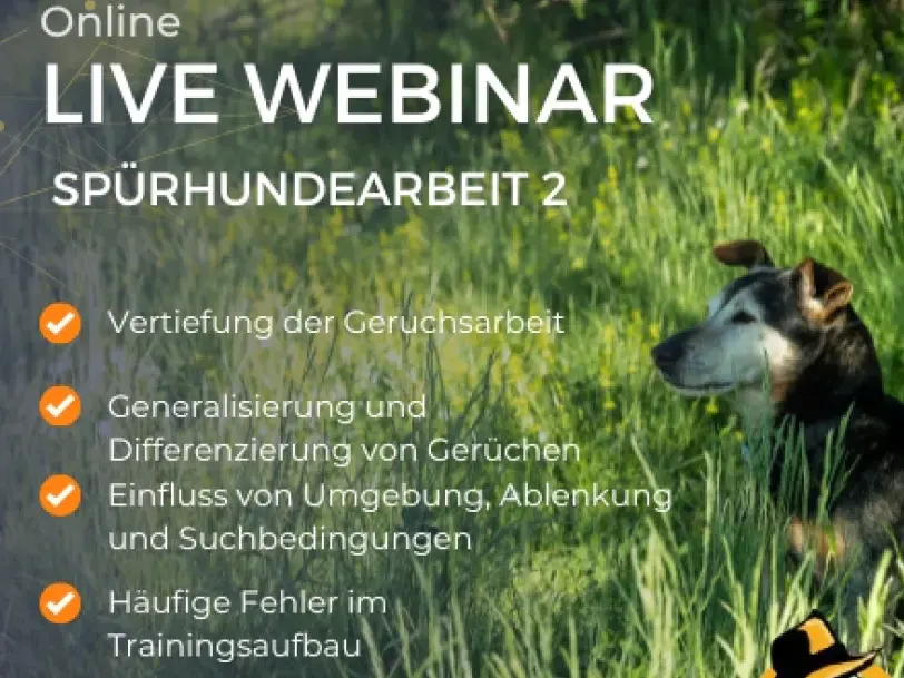 Spürhunde Webinar 2 Inhalte