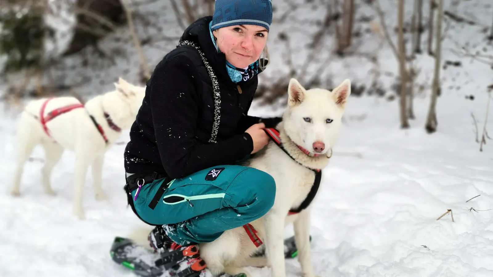 Husky Schneeschuhtrekking