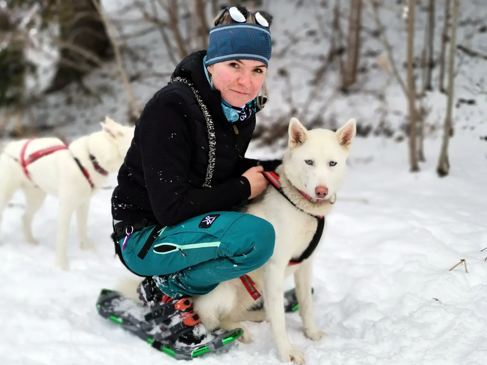 Husky Schneeschuhtrekking