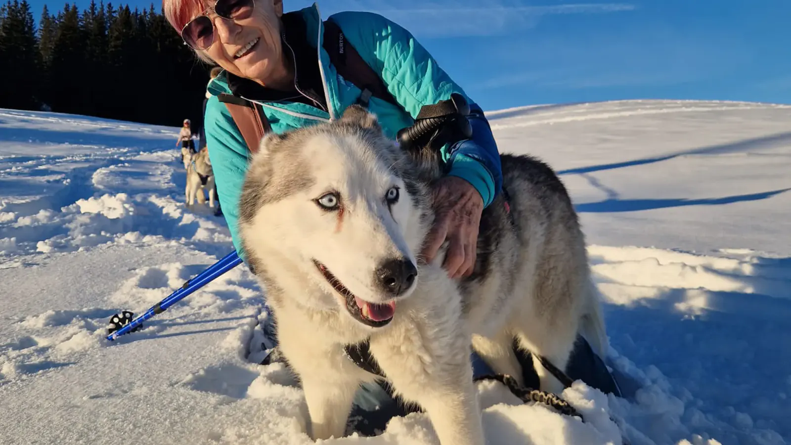 Husky Schneeschuhtrekking