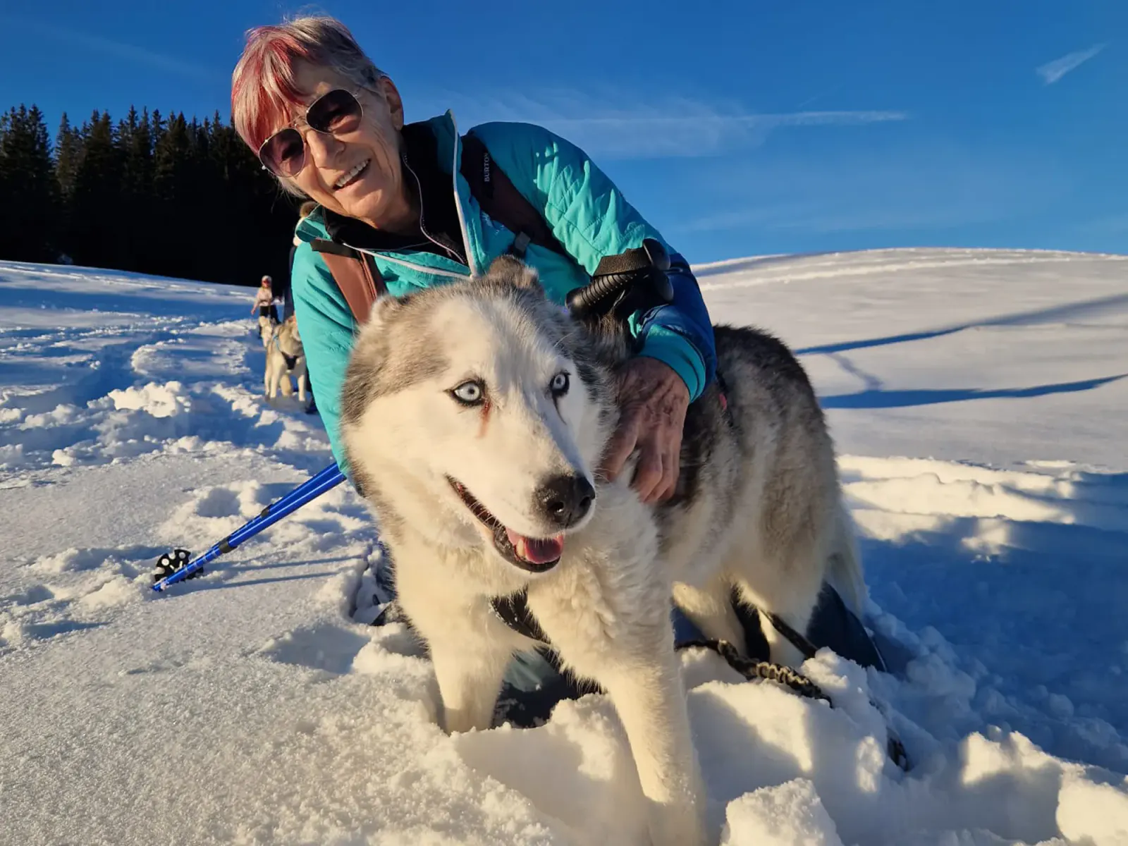 Husky Schneeschuhtrekking