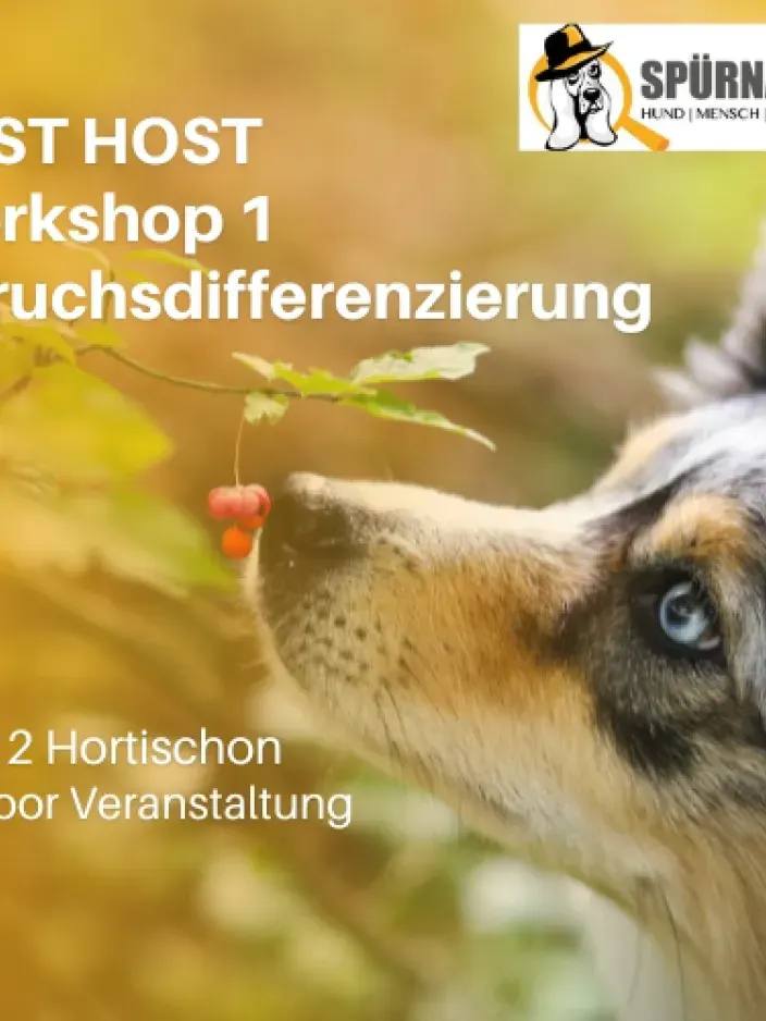 Workshop Beschreibung