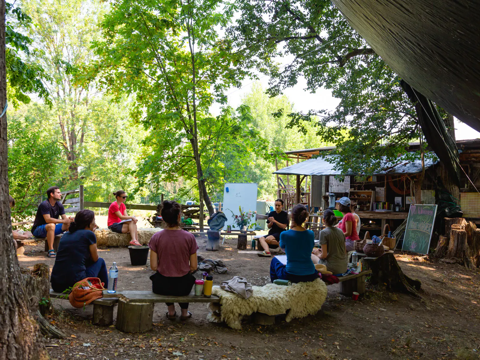 Camp