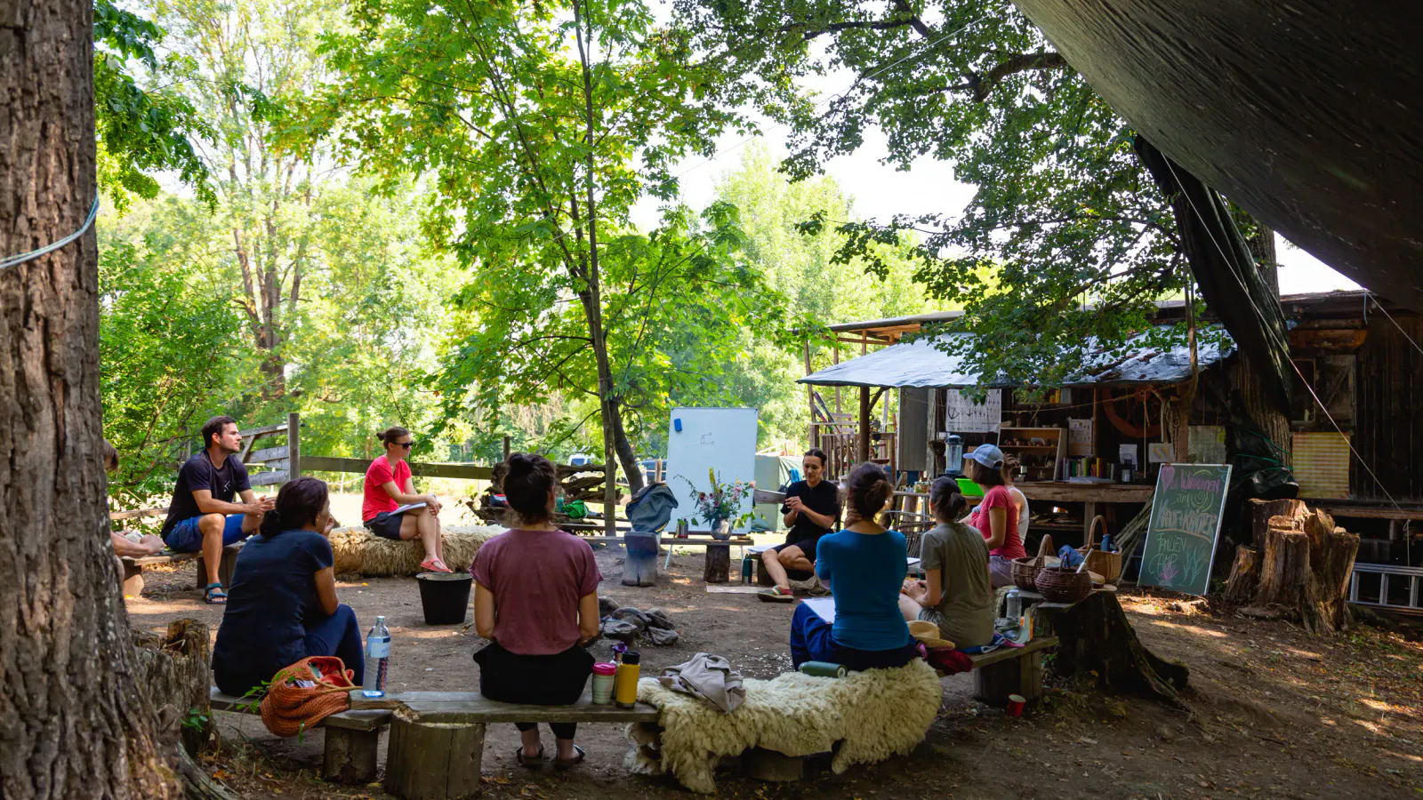 Camp