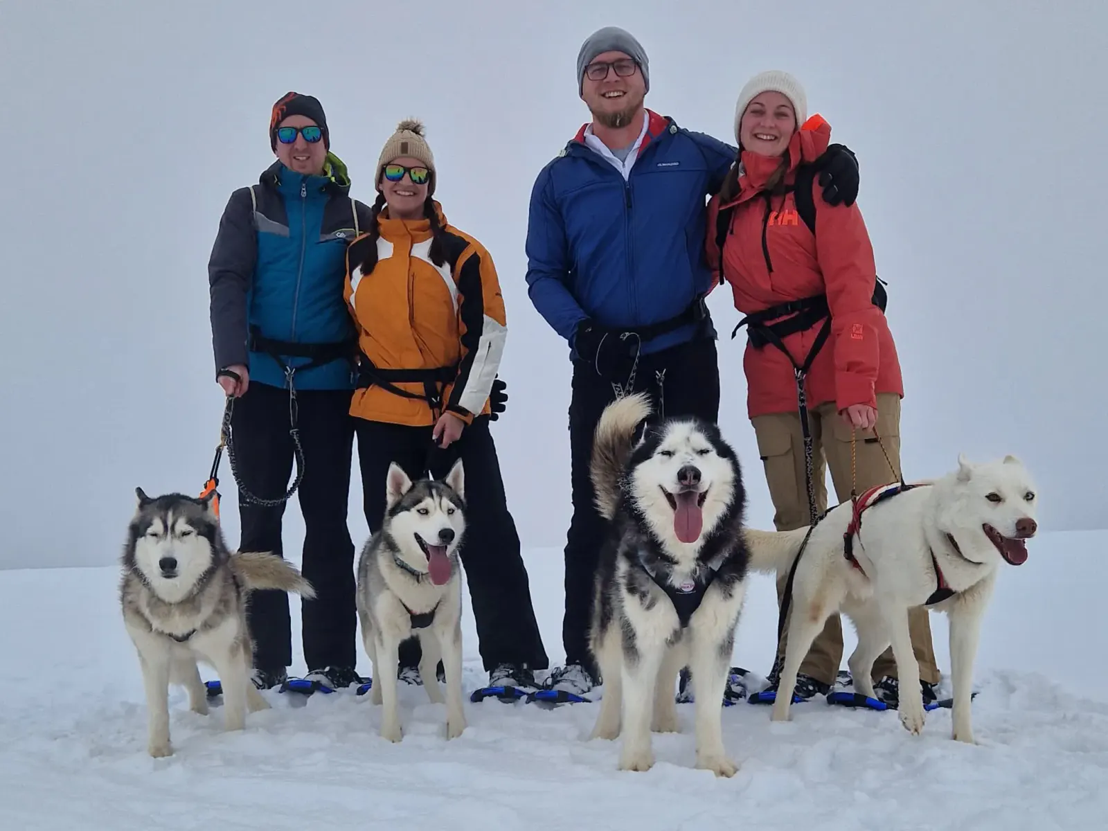 Husky Schneeschuhtrekking