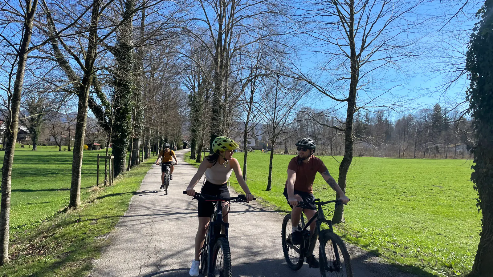 Zwei Radfahrer fahren bei strahlendem Sonnenschein in einer Allee