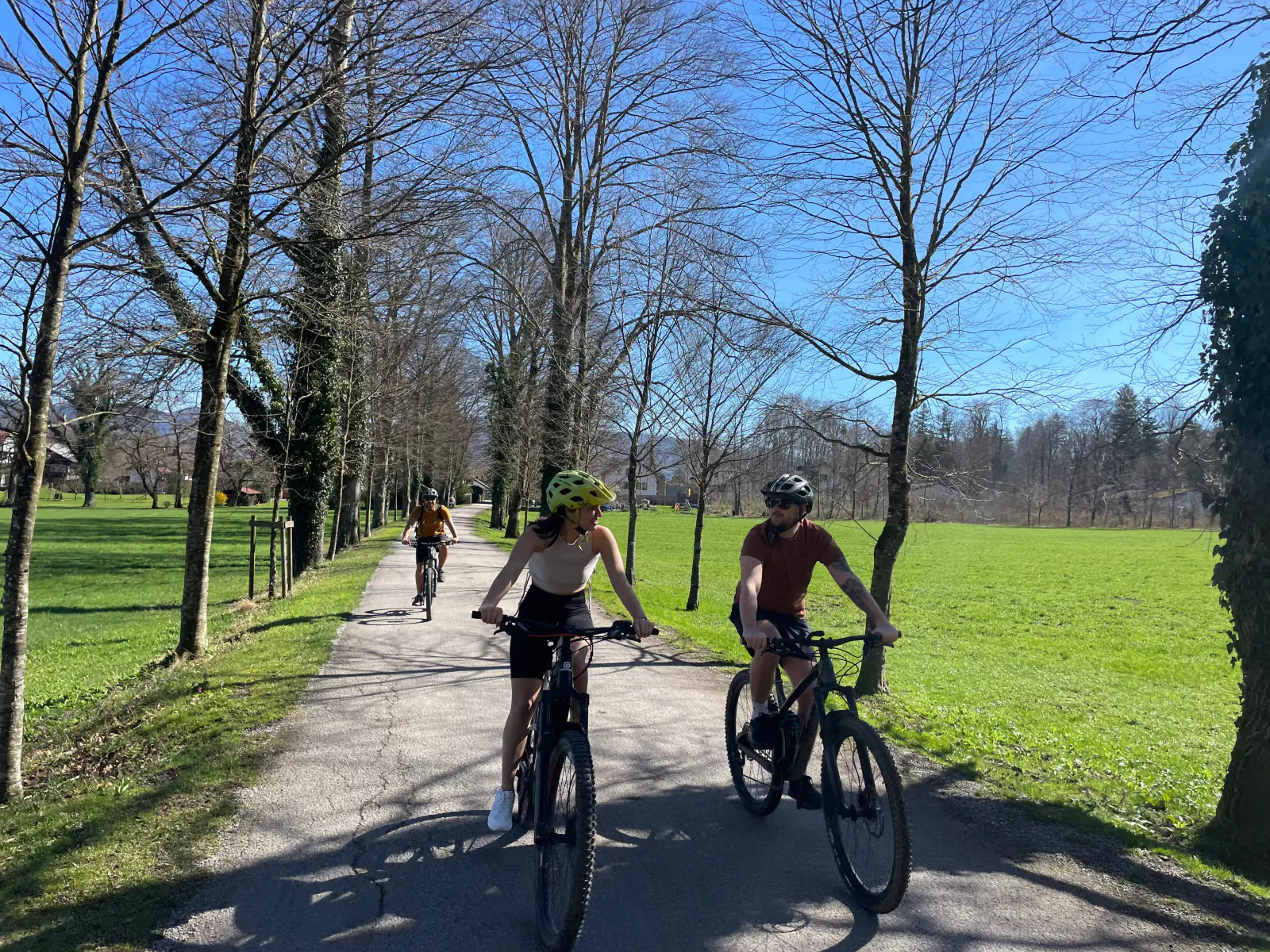 Zwei Radfahrer fahren bei strahlendem Sonnenschein in einer Allee