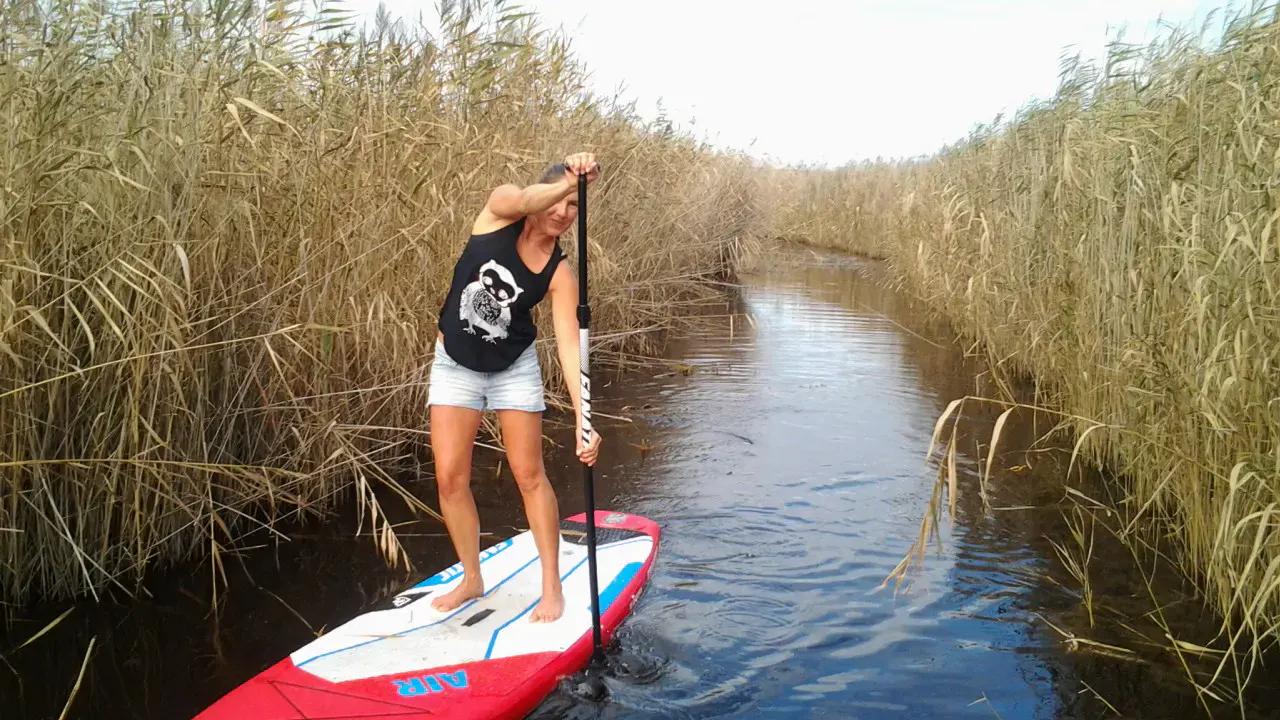 sup