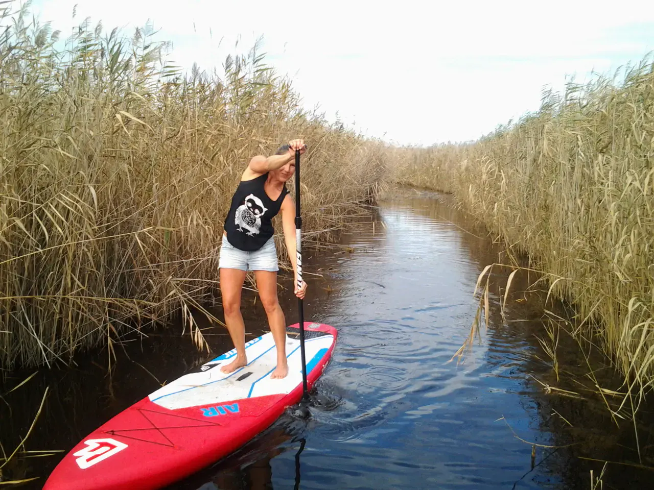 sup