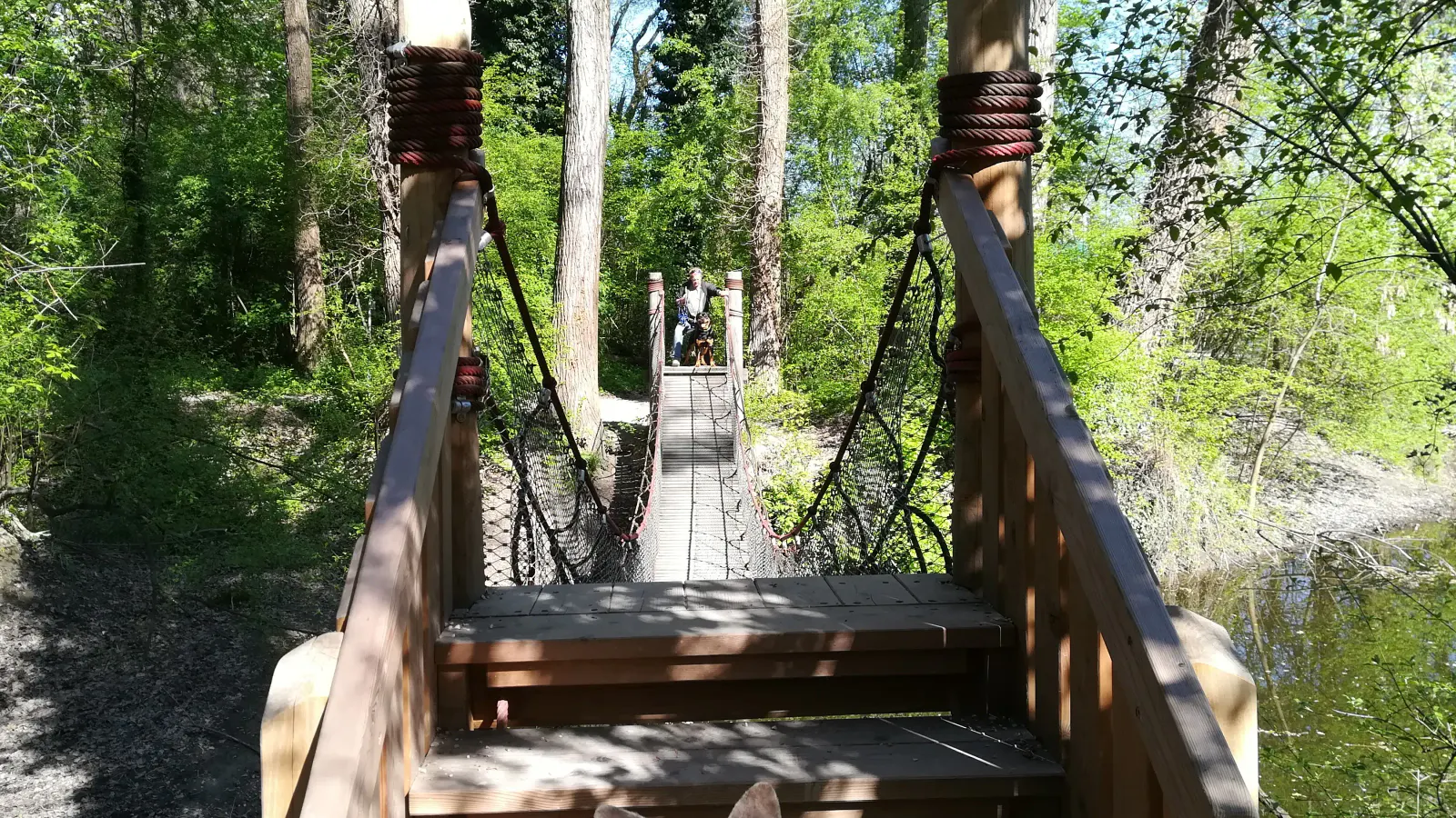 Mann mit Hund vor Hängebrücke