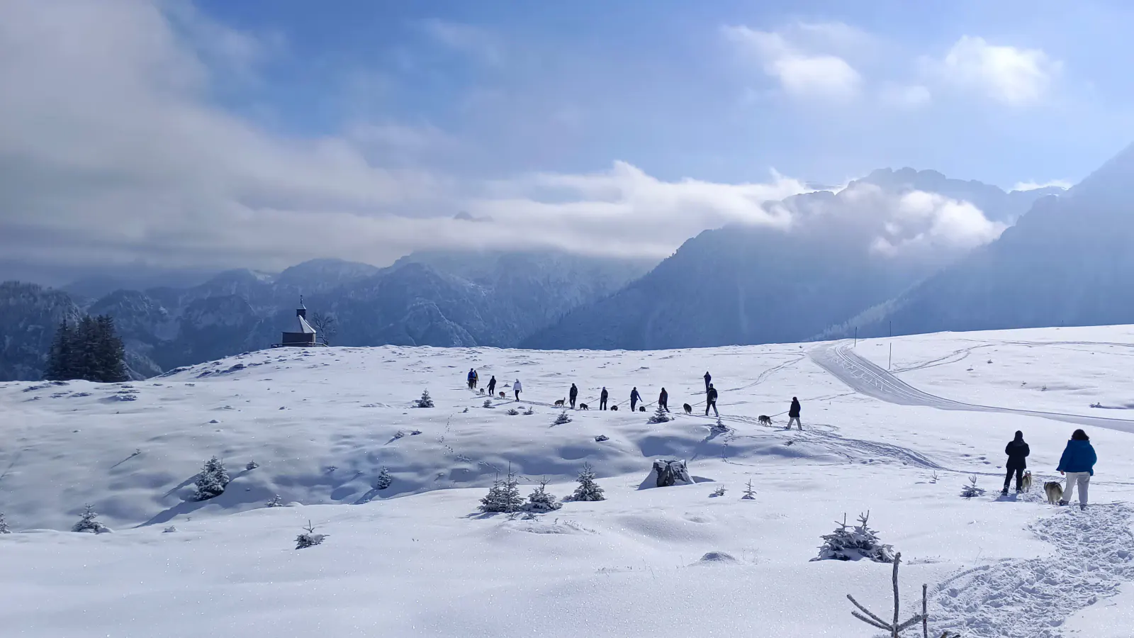 Husky Schneeschuhtrekking
