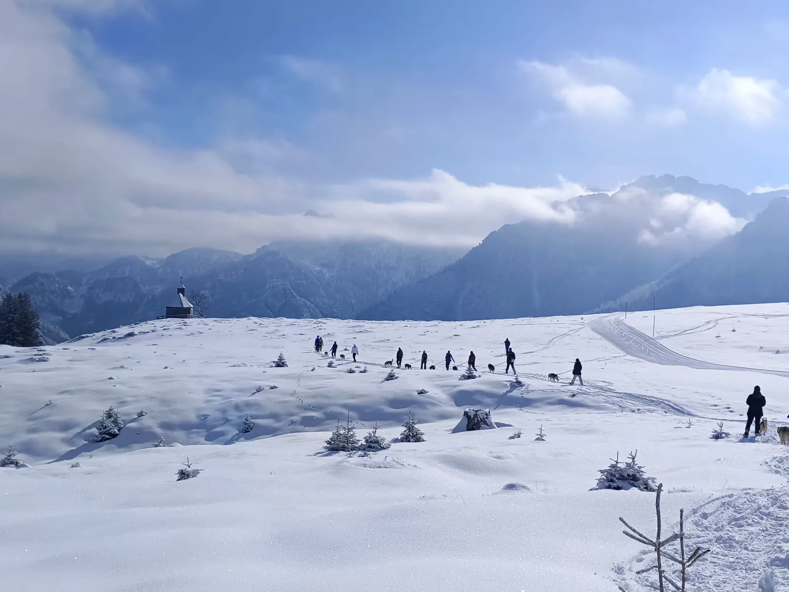 Husky Schneeschuhtrekking