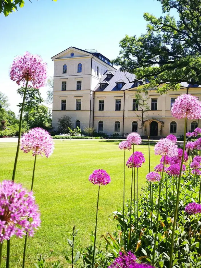 Chateau Mcely