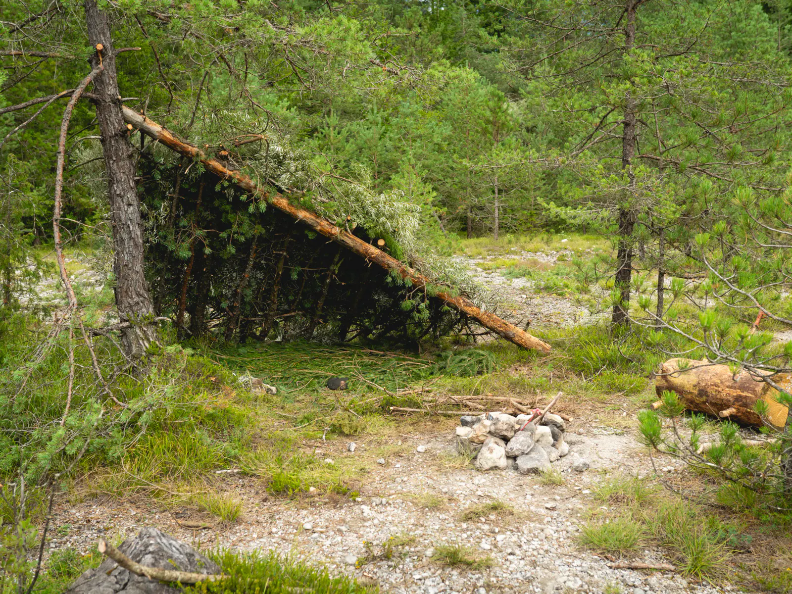 Shelter