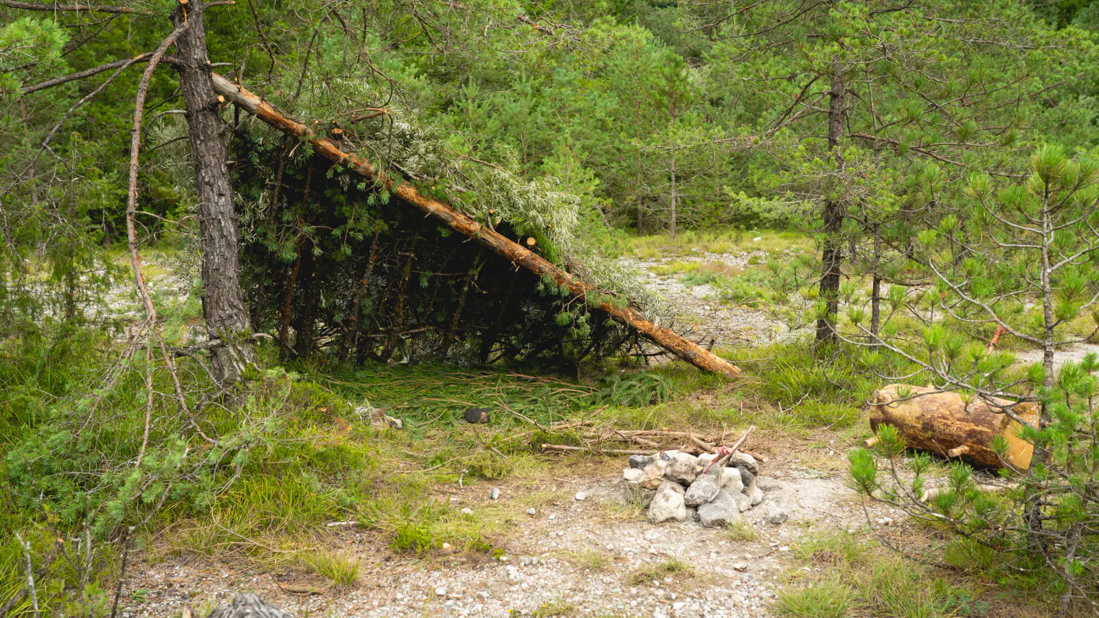 Shelter