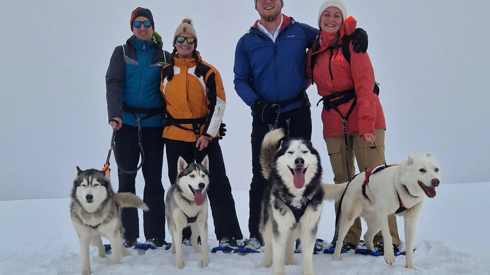 Husky Schneeschuhtrekking