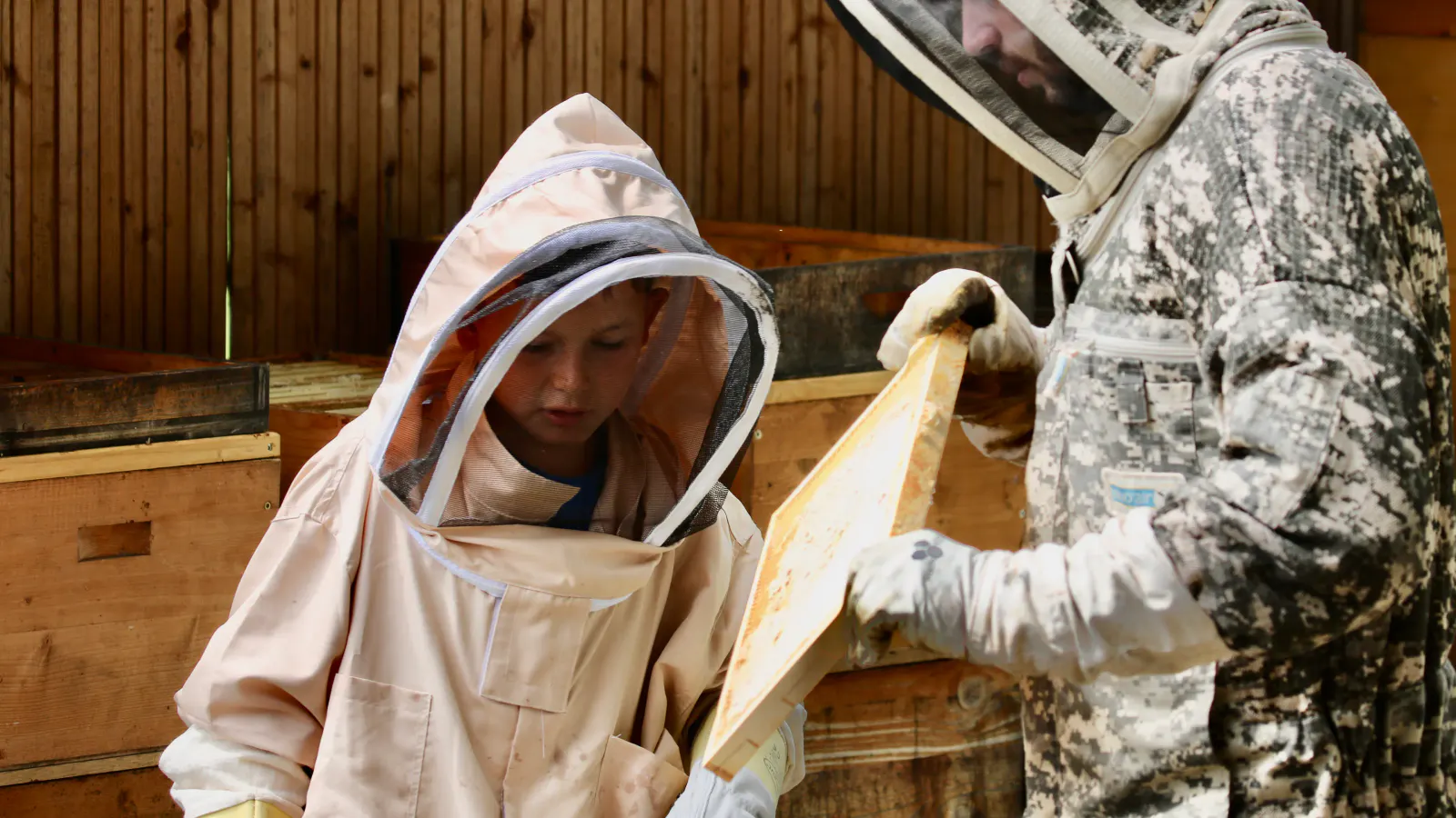 beim arbeiten bei den Bienen