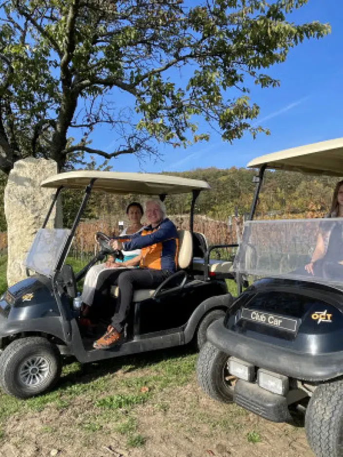 Golfcar