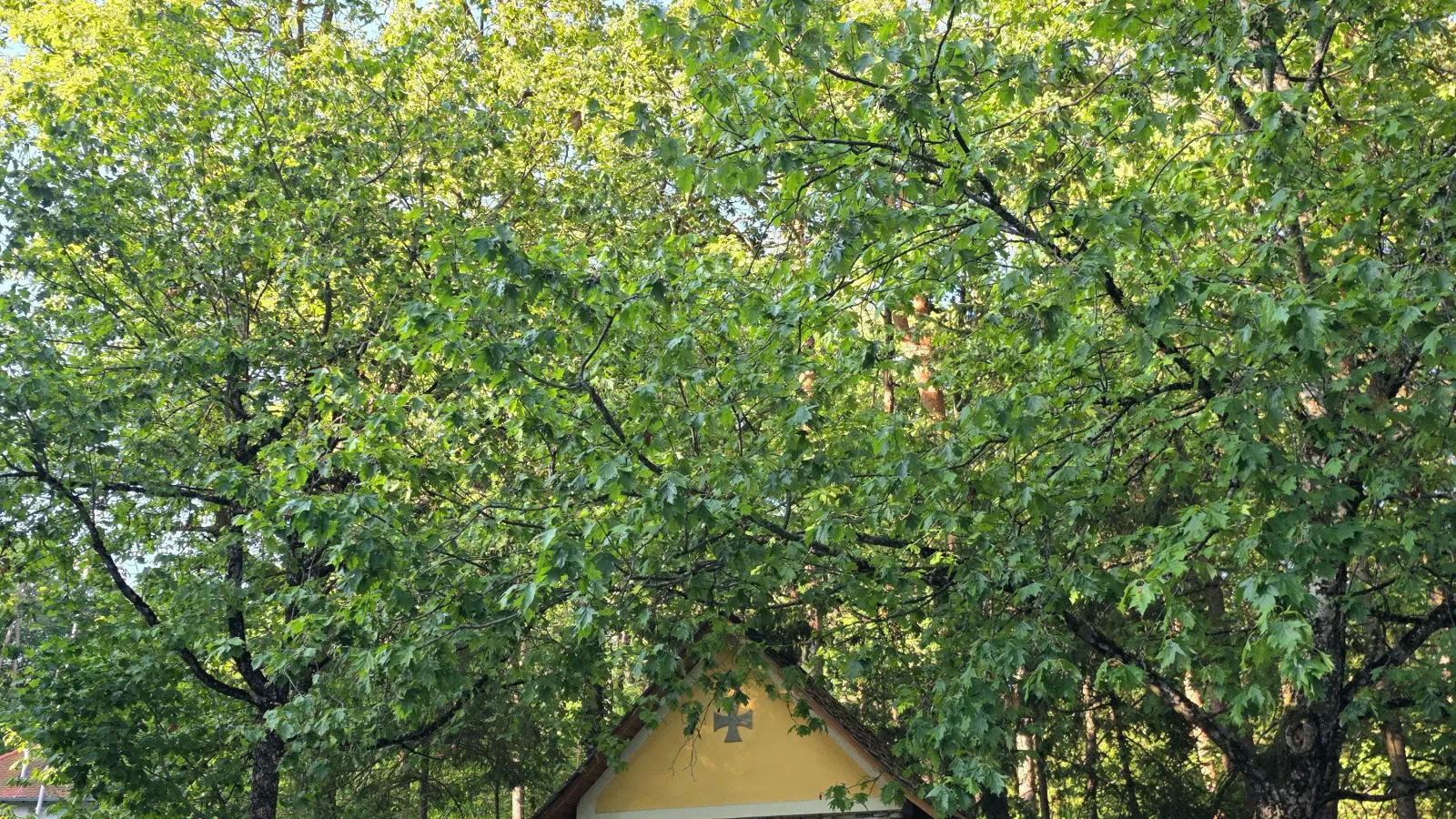 Ausflugsziel Csaterberg