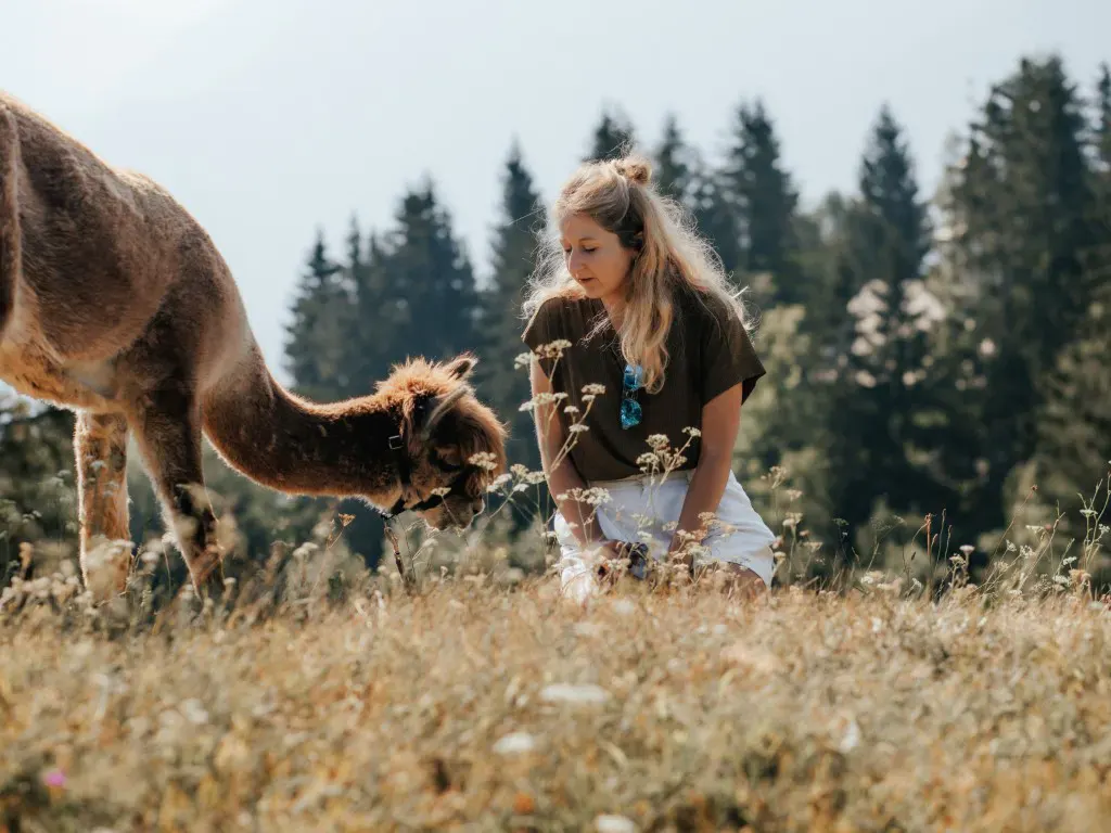 Ein Alpaka und eine Frau auf der Wiese in der Nähe des Naturhotels Landhof Irschen