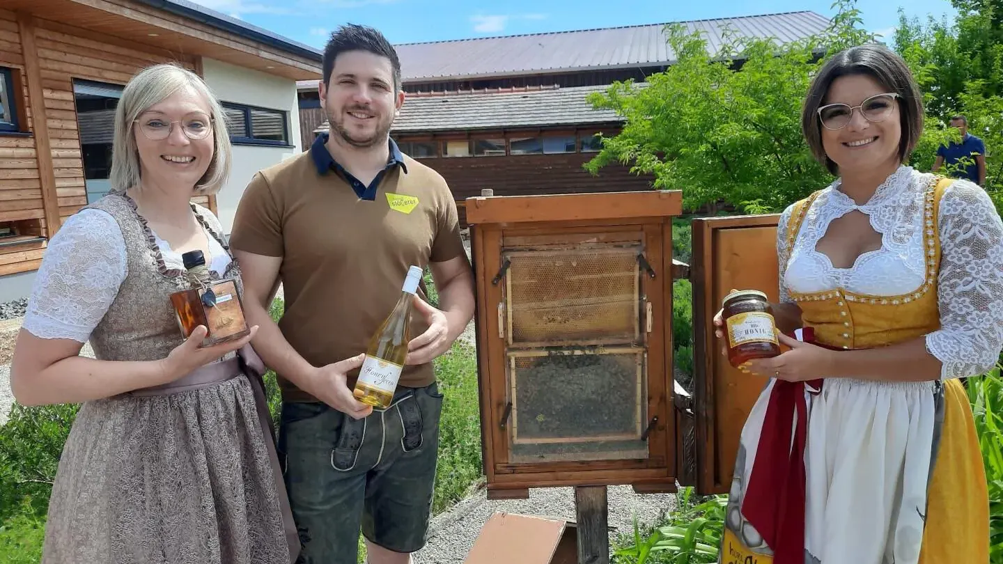 beim Schaubienenstock