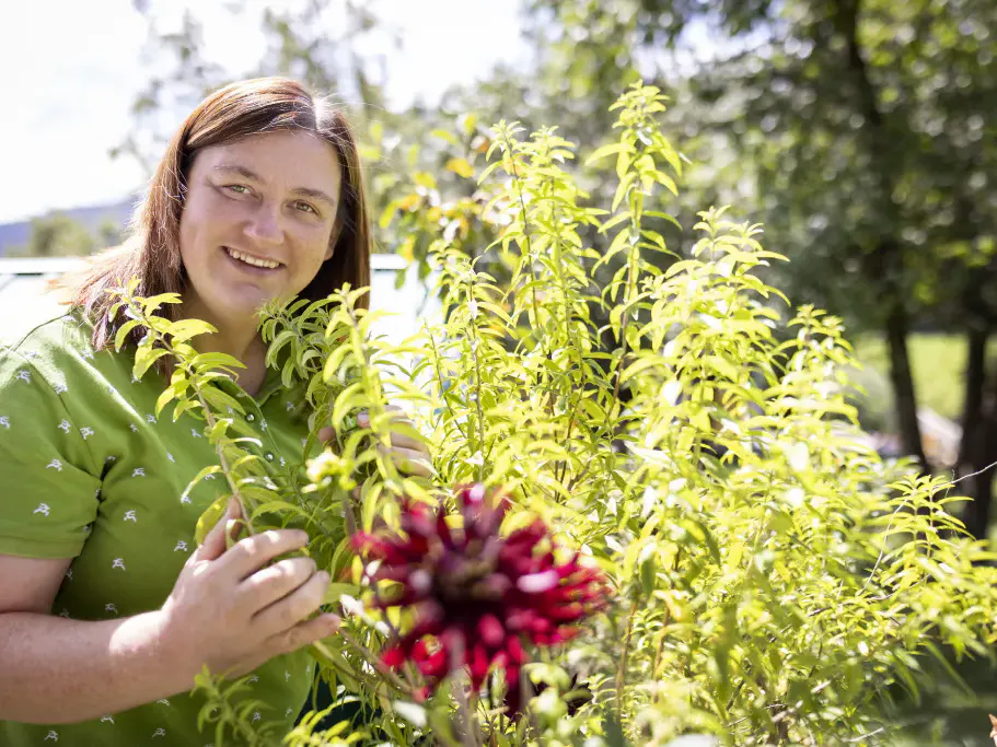 Beate im Bauerngarten hinter Goldmelissenblüte und Zitronenverbene-Strauch